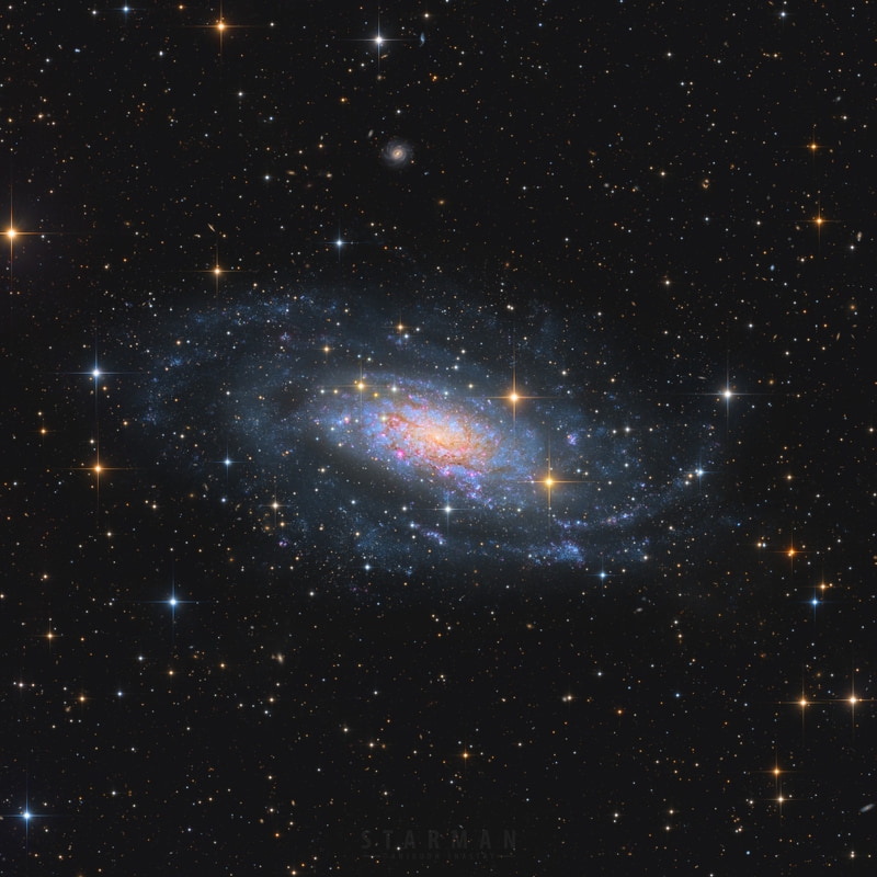 Pure Disk Spiral Galaxy