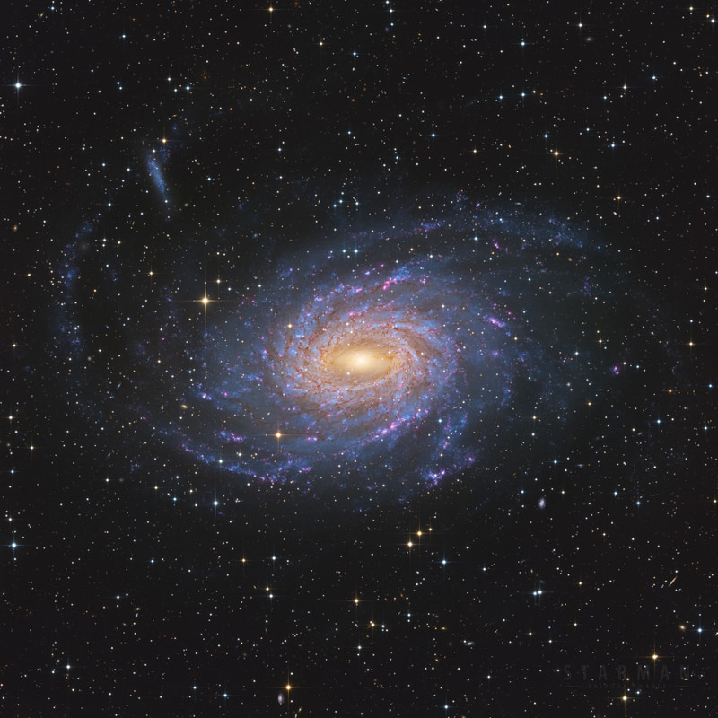 The Pavo Galaxy