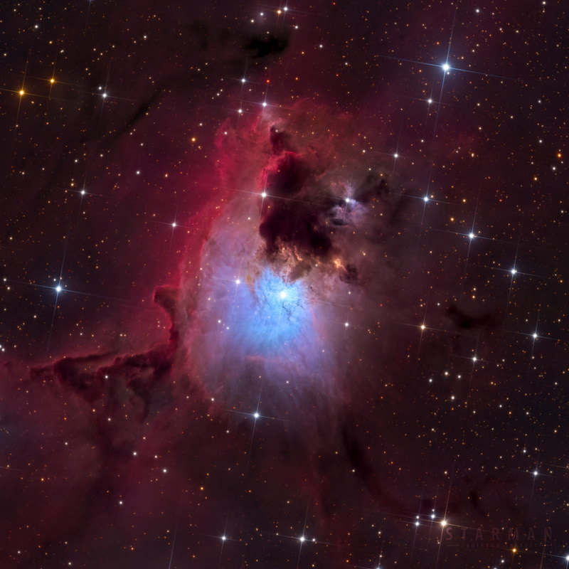 The Vela Egg Nebula